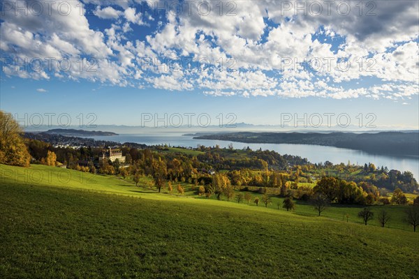 View over Lake Constance in autumn, Spetzgart Castle in front, Alpine chain behind, near