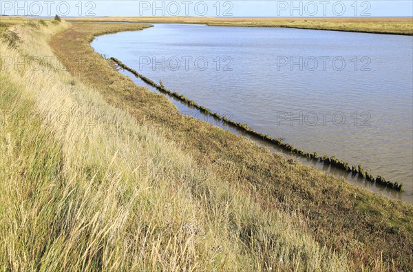 Landscape at high tide Barthorp's Creek, Hollesley Bay, near Shingle Street, Suffolk, England, UK