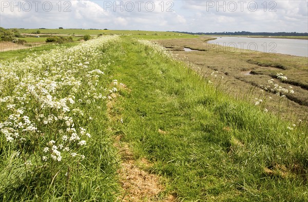 Pathway along flood defence sea wall bank, Butley Creek river, Suffolk, England, UK