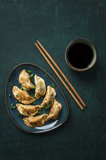 Japanese Gyoza dumplings, fried, with sauce, on a green background, top view, no people, toned,