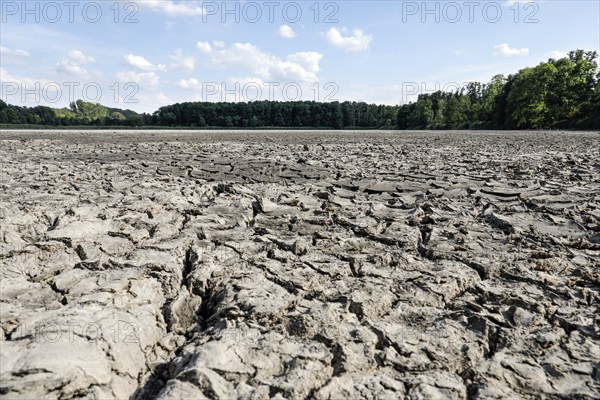The bottom of a dried-up fish pond in Reckahn in Brandenburg looks like parched desert soil. The