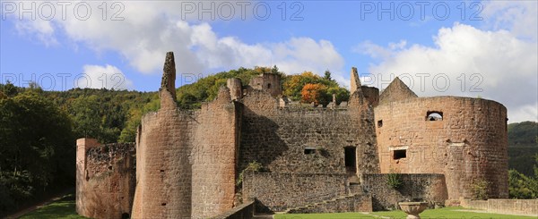 Hardenburg Castle in the Palatinate Forest near Bad Dürkheim on the Wine Route