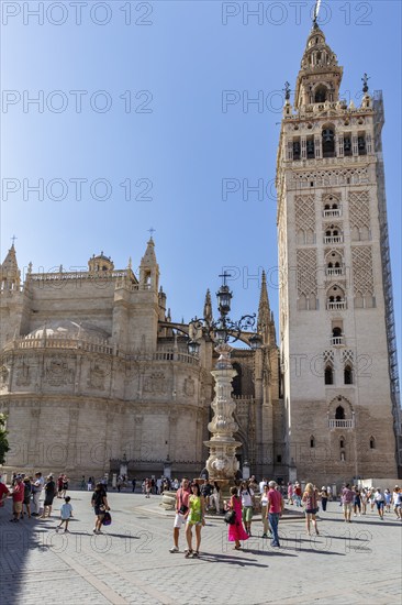 Gothic cathedral with high tower and lively square on a sunny day, Seville