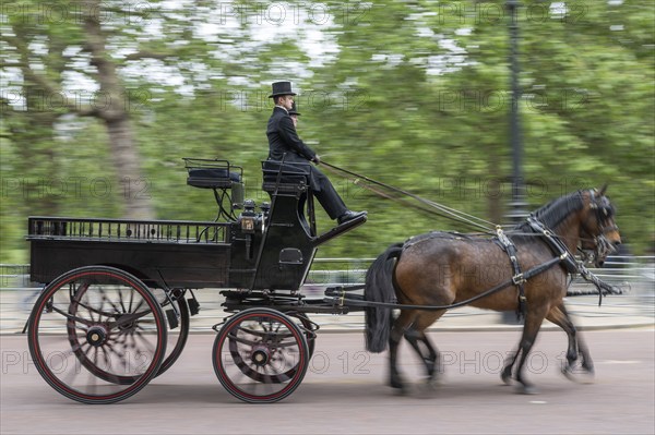 Horse-drawn carriage, Trooping the colour, military parade in June in honour of the British