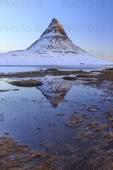 Pointed mountain reflected in fjord at low tide, snow, winter, morning light, Kirkjufell,