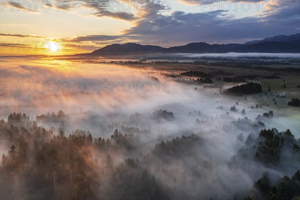 Aerial view of trees and moorland in front of mountains in morning light, fog, summer, view of