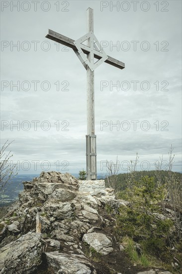 Gentiana bavarica summit cross, Bavarian Forest, Bavaria, Germany, Europe