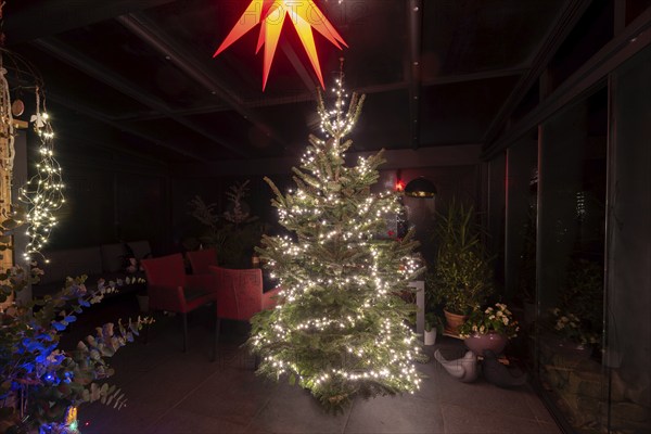 Christmas tree with fairy lights, above Herrnhut star, festive atmosphere, Germany, Europe