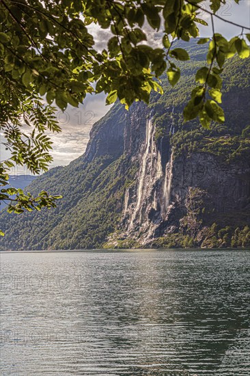 The majestic Seven Sisters waterfall flows down a forested mountain into the tranquil Gairanger