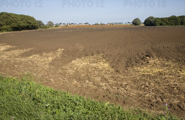 Freshly tilled field, Alderton, Suffolk, England, United Kingdom, Europe