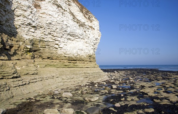 Coastal scenery at Flamborough Head, Yorkshire, England, United Kingdom, Europe