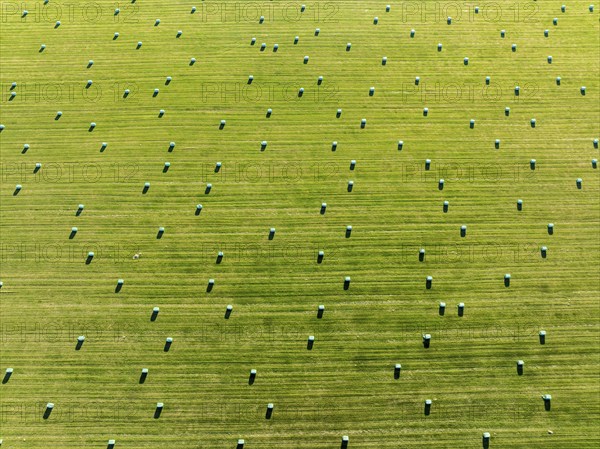 Meadow full of colored hay bales, aerial view, southern coast, Iceland, Europe