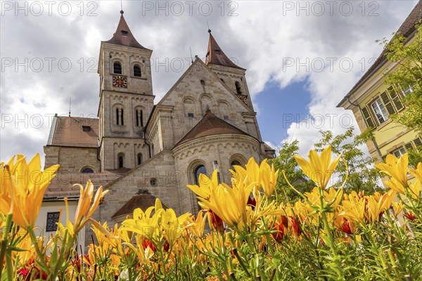 Flower bed with lilies, St Vitus Basilica, Ellwangen, Baden-Württemberg, Germany, Europe