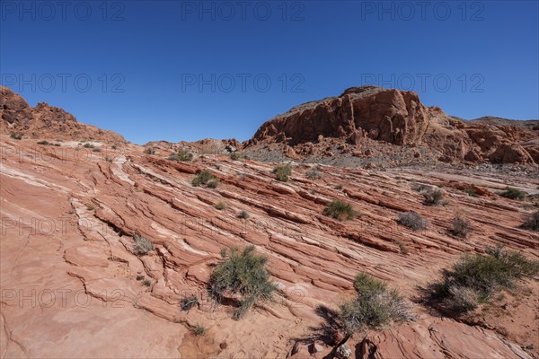 Layered rock formations along the Fire Wave Trail at Valley of Fire State Park near Overton, Nevada