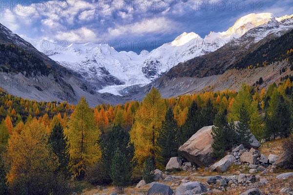 Autumn-coloured valley at dawn, Morteratsch, Engadin, Canton Graubünden, Switzerland, Europe