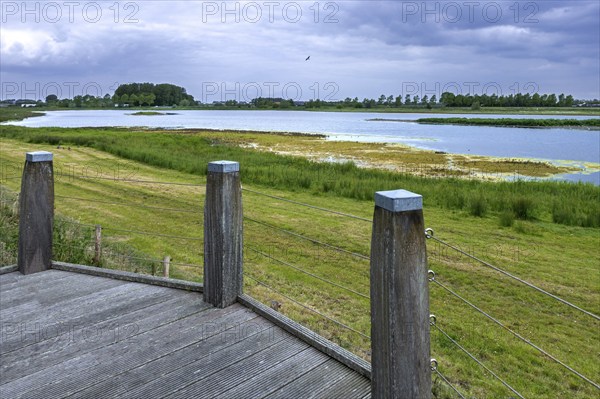 Sophia Polder, Sophiapolder, nature reserve and refuge for water birds near Oostburg, Zeeland,