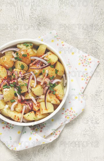 Boiled potato salad with red onion, German cuisine, homemade, no people