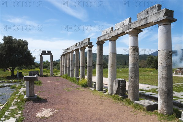 Ruins of ancient tall columns stretching along a path under a clear blue sky, Messene, ancient
