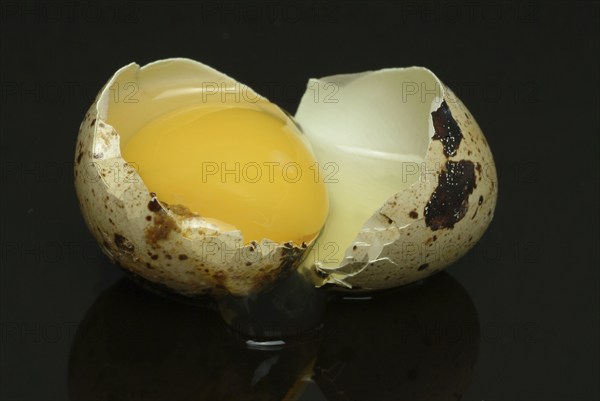 Food, quail eggs, cracked quail egg, Coturnix coturnix