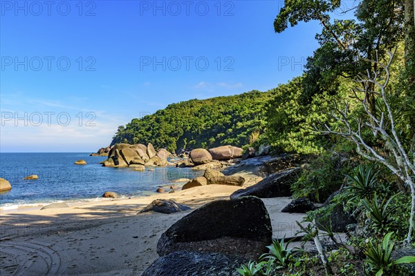 Forest, hill, rocks and sea of Indaiauba beach in Ilhabela island coast os Sao Paulo, Indaiauba