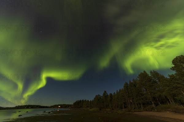 Northern lights, (Aurora borealis) at a lake near Kiruna, September 2024, Lapland, Sweden, Europe