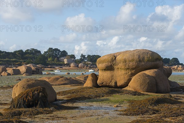 Rocky landscape on the coast under a cloudy sky, Baie de Sainte-Anne, Trégastel, Tregastel, Côte