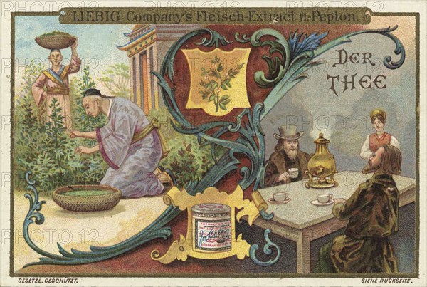 Picture series Drinks of the World, The Tea, Liebig picture, digitally restored reproduction of a