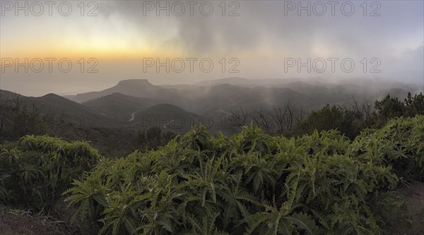 Sunset, view from the mountain Alto de Garajonay, Garajonay National Park, La Gomera, Canary