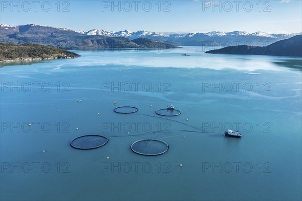 Aerial view over salmon farm in the Hardangerfjord, swimming cages, ferry in the back,
