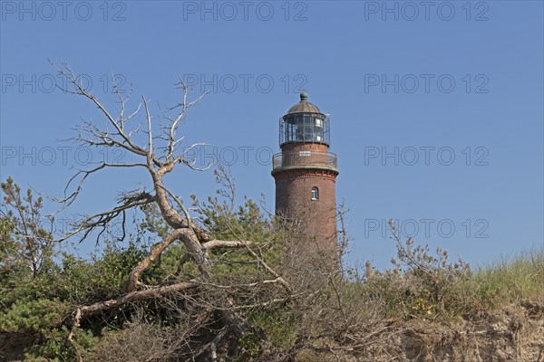 Lighthouse, beach, dead tree, break-off edge, Darßer Ort, Born a. Darß, Mecklenburg-Vorpommern,