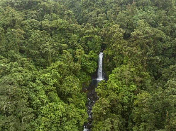 Aerial view, waterfall in the rainforest, Catarata de la Paz, La Paz Waterfall Gardens Nature Park,