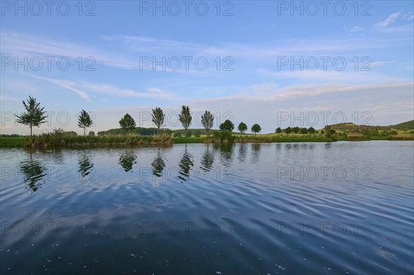 Lake in spring with row of trees and reflection, Drei Gleichen, Ilm-Kreis, Thuringia, Germany,