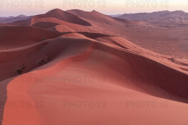 Wind-sculpted sand dunes at sunrise in the Rub al Khali desert, Dhofar province, Arabian Peninsula,
