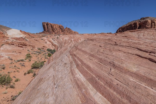 Layered rock formations along the Fire Wave Trail at Valley of Fire State Park near Overton,