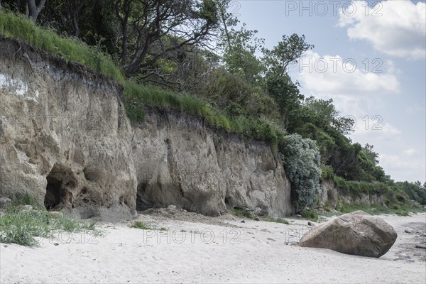 Steep coast, Poel Island, Mecklenburg-Western Pomerania, Germany, Europe