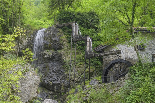 Mill wheel and waterfall at the old mill, Tramonti di Sopra, Province of Pordenone, Italy, Europe