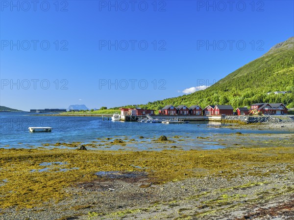 Rorbuer at the Lyngenfjord, Lyngenalps, mountains with snow, blue sky, European North Sea, Troms og