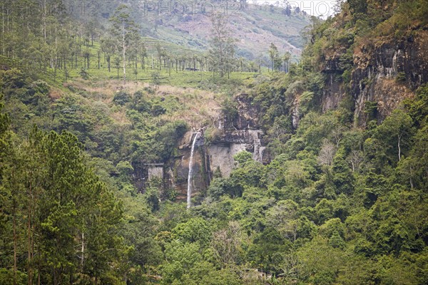 Ramboda Falls, Nuwara Eliya, Central Province, Sri Lanka, Asia