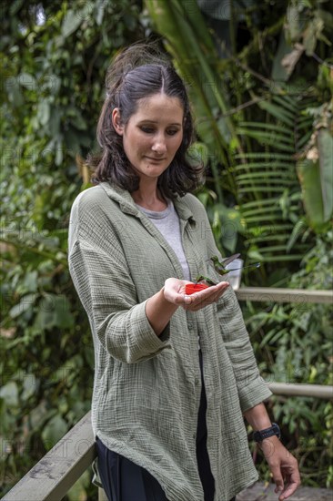 Young woman feeding hummingbirds, Mindo Forest Reserve, Mindo, Ecuador, Mindo Forest Reserve,
