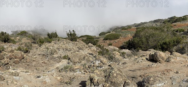 Clouds of fog, yellow earth, erosion, near Arguamul, La Gomera, Canary Islands, Spain, Europe