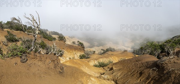 Clouds of fog, yellow earth, erosion, near Arguamul, La Gomera, Canary Islands, Spain, Europe