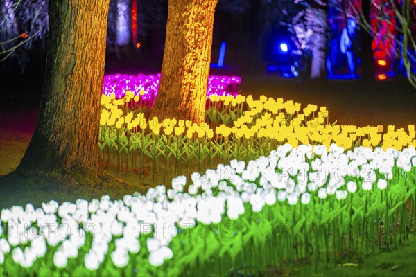 Parkleuchten, event in winter, in the Grugapark in Essen, many different light installations,