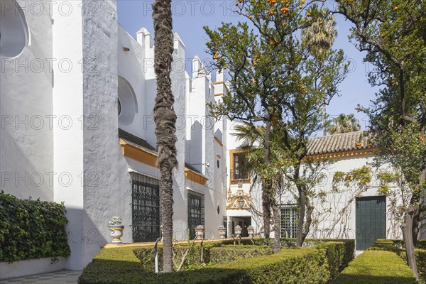 Jardines del Alcazar, Gardens in the Alcazar, Royal Palace of Seville, Seville, Spain, Europe
