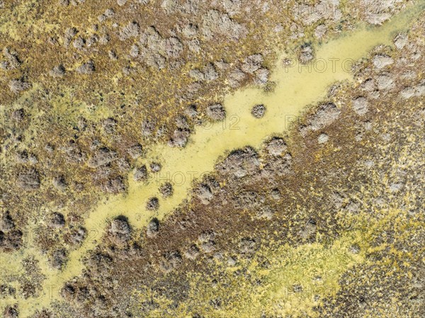 Detail of marshland near Sanlúcar de Barrameda. Aerial view. Drone shot. Cádiz province, Andalusia,