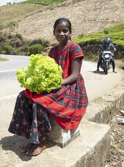 Sri Lankan girl selling lettuce on the street, Nuwara Eliya, Central Province, Sri Lanka, Asia