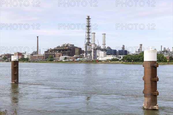 BASF, Lugwigshafen am Rhein, industrial area, Poller, Mannheim, Baden-Württemberg, Germany, Europe