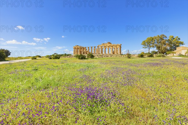 Temple of Hera or Temple E, Selinunte Archaeological Park, Selinunte, Trapani district, Sicily,
