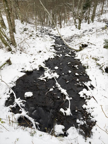 Hill Stream, the Schwartzbach, in snow and ice in November. The Rhön UNESCO Biosphere nature