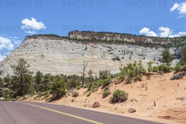 Patterns of erosion on the rocky mountainside along the Zion Park Boulevard in Zion National Park,