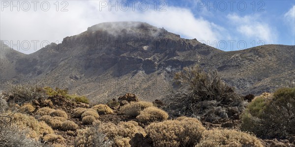 Faded Teide gorse and the summit of Montaña Guajara, also: Alto de Guajara, 2715m, crater walls,